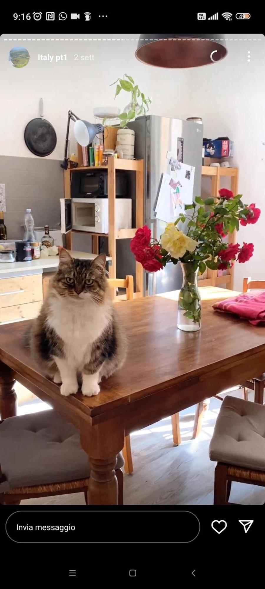 페루자 Boh & Boh A Casa Di Luca And His Cats 아파트 외부 사진
