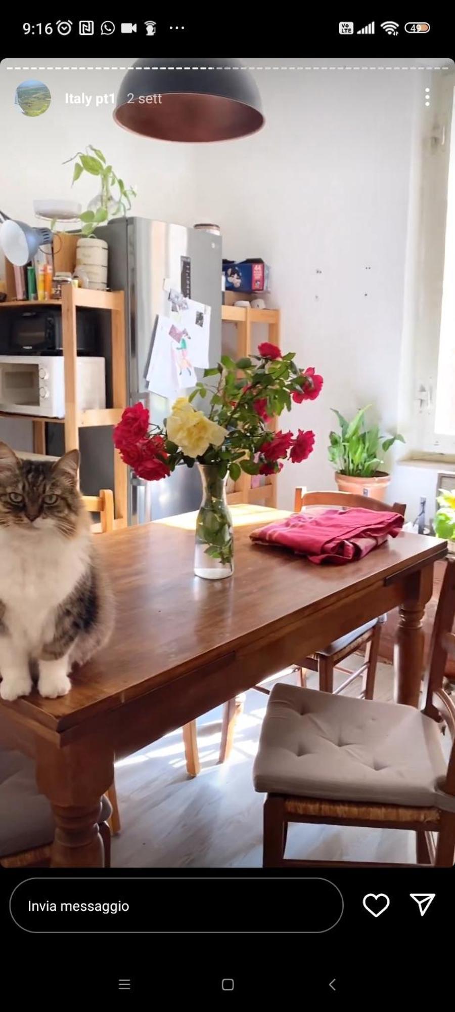 페루자 Boh & Boh A Casa Di Luca And His Cats 아파트 외부 사진